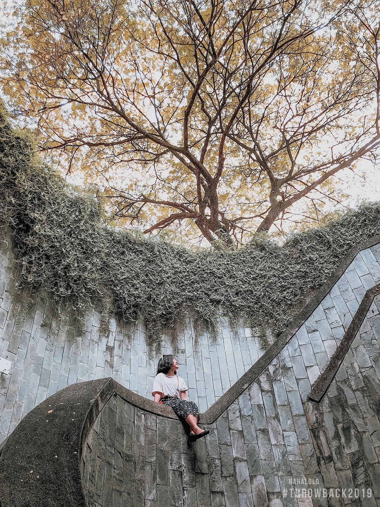 cuộc thi ảnh throw back 2019 ảnh 2 cuoc thi anh throw back 2019 anh 2