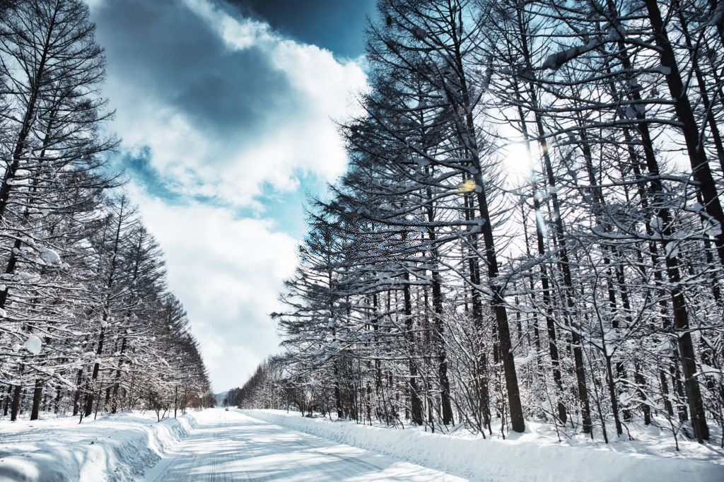 Mua dong tren the gioi anh 44