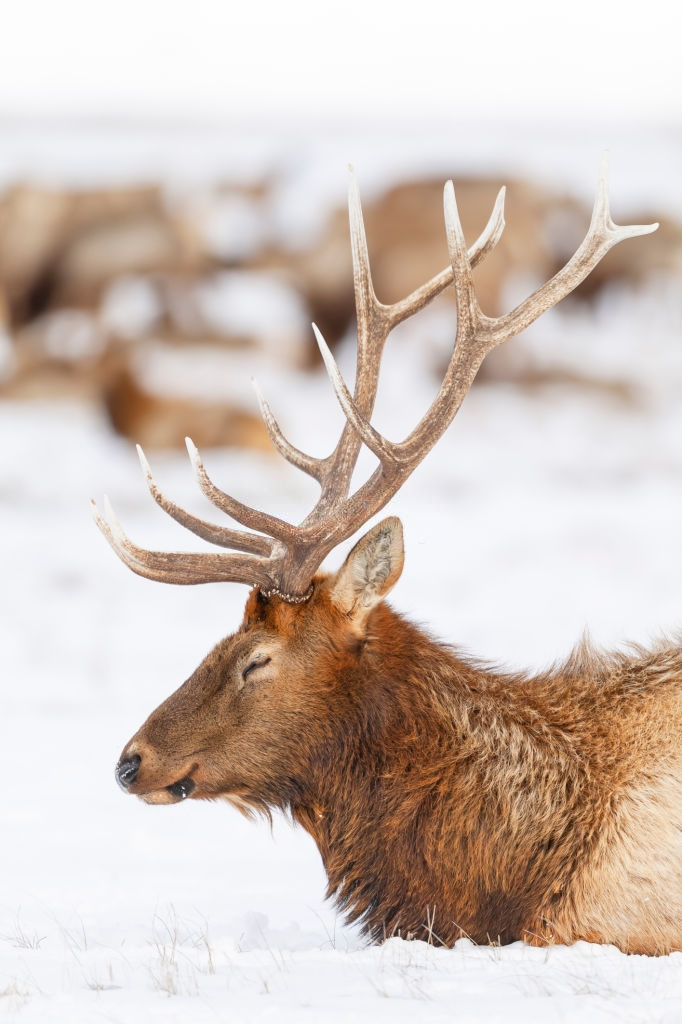 Mua dong tren the gioi anh 9