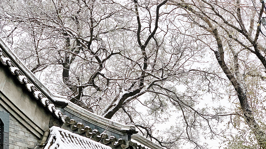 Mua dong tren the gioi anh 35