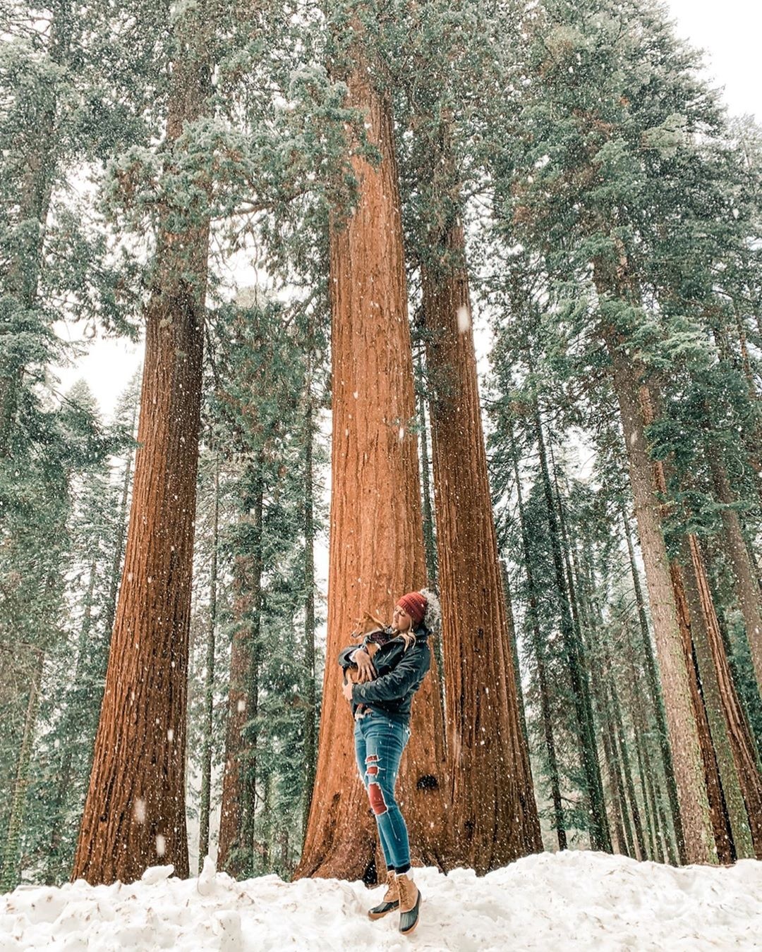 Mua dong tren the gioi anh 7
