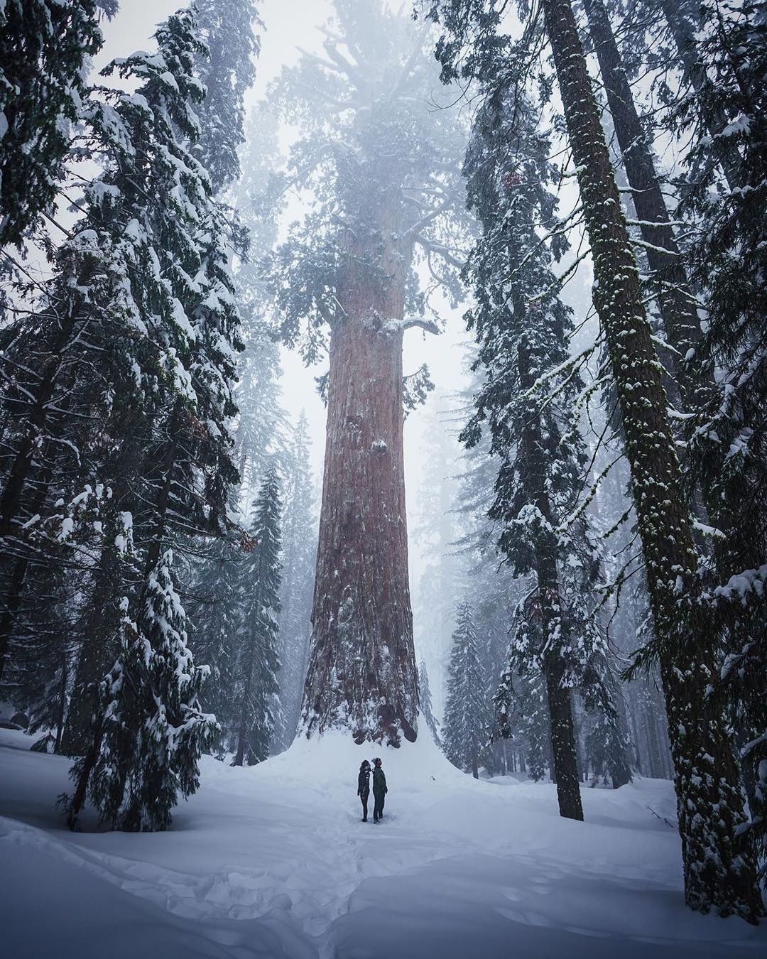 Mua dong tren the gioi anh 5