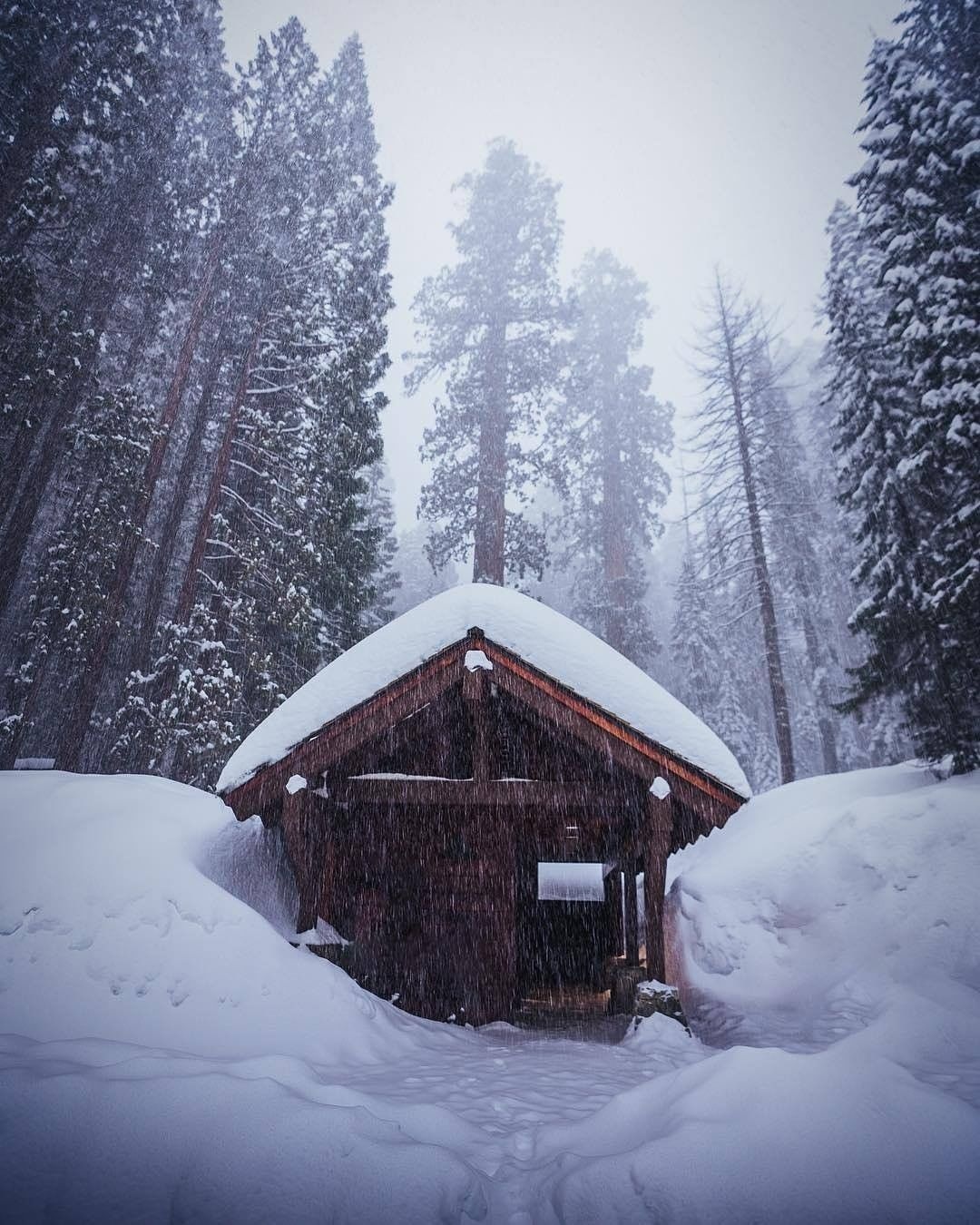 Mua dong tren the gioi anh 6