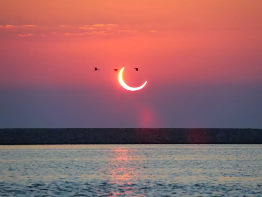 Nguoi dan Singapore nghi lam xem nhat thuc vong tron lua hiem thay hinh anh