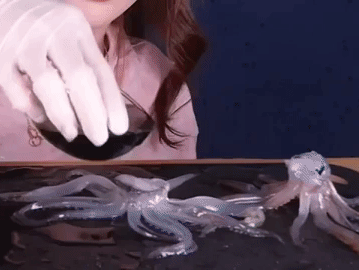 Co gai Han Quoc la het khi thuong thuc mon muc nhay mua hinh anh