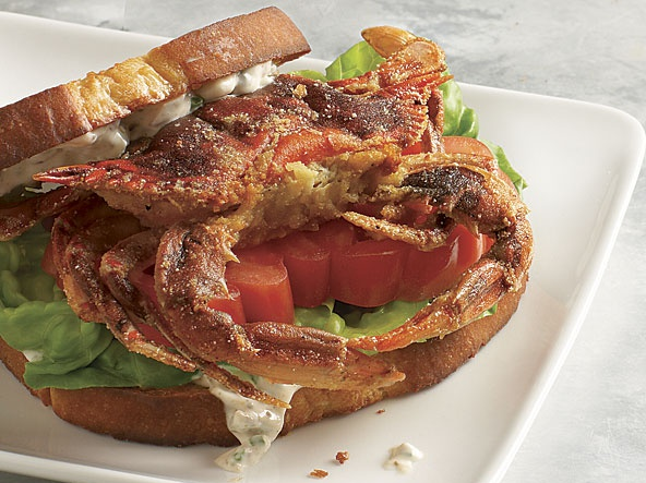 Nem vi sandwich kep cua nguyen con o My hinh anh