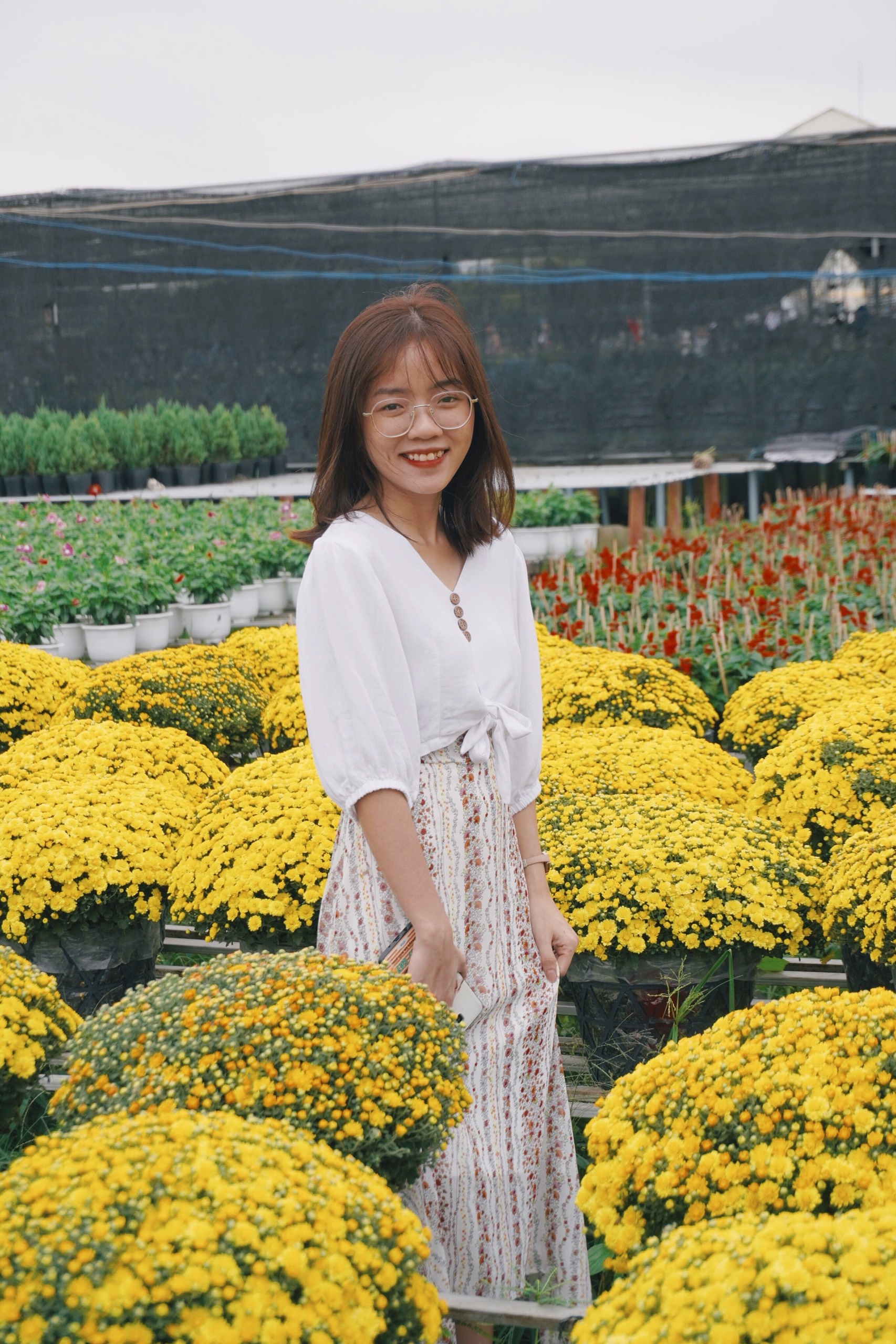 vườn hoa Sa Đéc cuối tuần ảnh 3 vuon hoa Sa Dec cuoi tuan anh 3