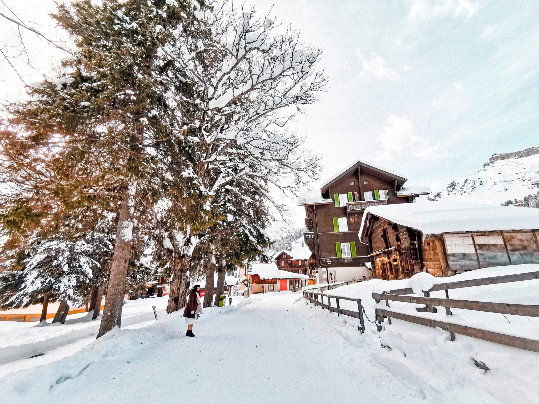 cuộc thi ảnh throw back 2019 ảnh 17 cuoc thi anh throw back 2019 anh 17