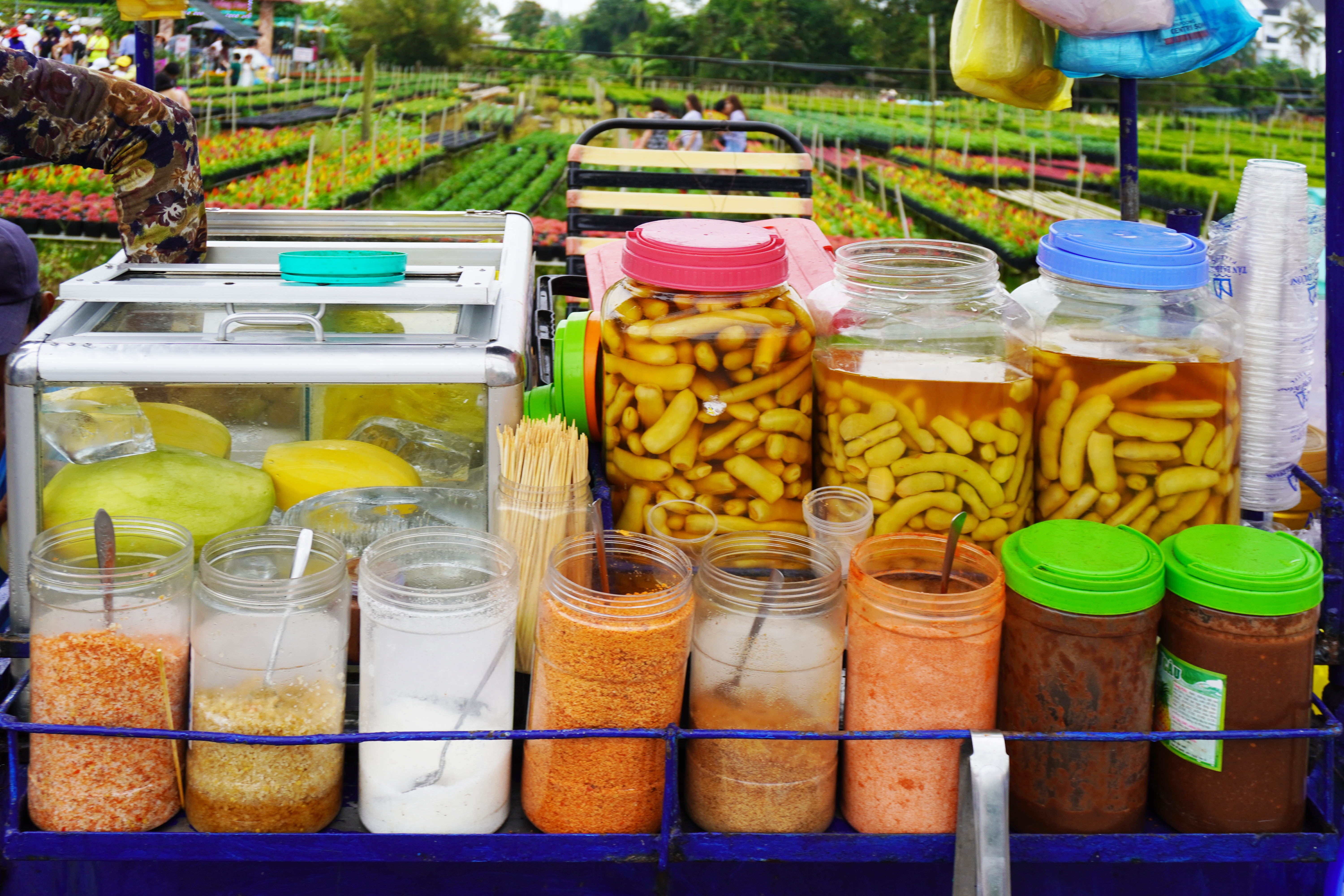 vuon hoa Sa Dec cuoi tuan anh 8