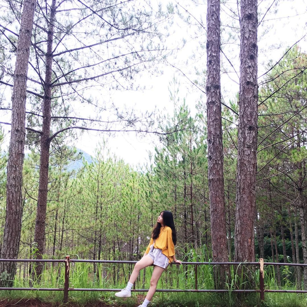 chùa đẹp đà lạt ảnh 8 chua dep da lat anh 8