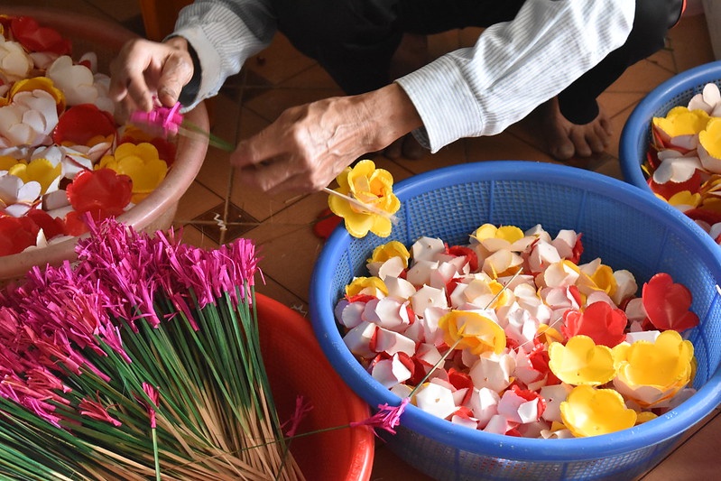 hoa giay Thanh Tien anh 3