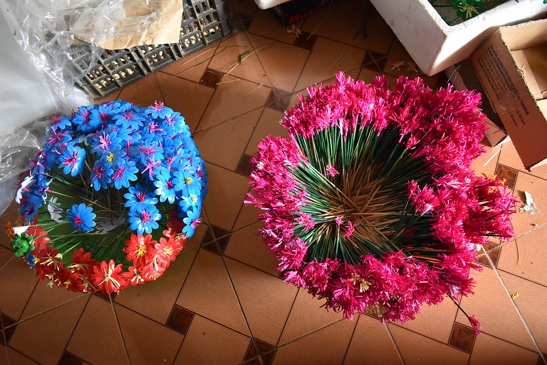 hoa giay Thanh Tien anh 5