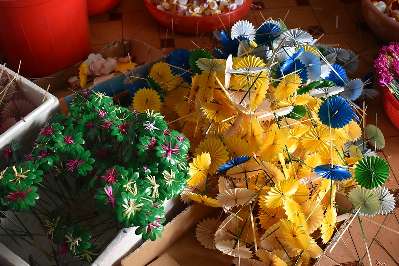 hoa giay Thanh Tien anh 15