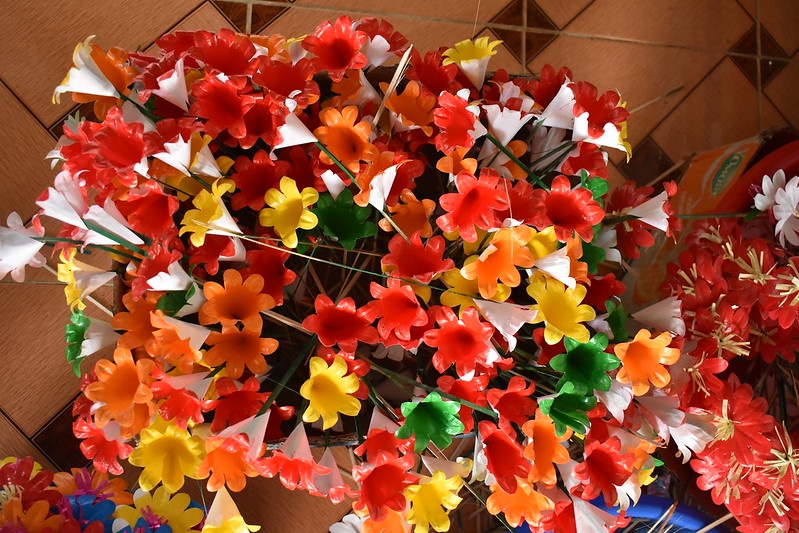 hoa giay Thanh Tien anh 4