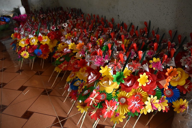 hoa giay Thanh Tien anh 16