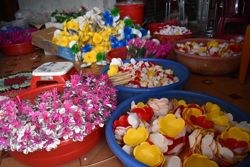 hoa giay Thanh Tien anh 19