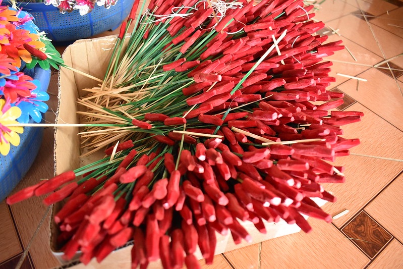 hoa giay Thanh Tien anh 11