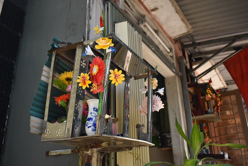 hoa giay Thanh Tien anh 9