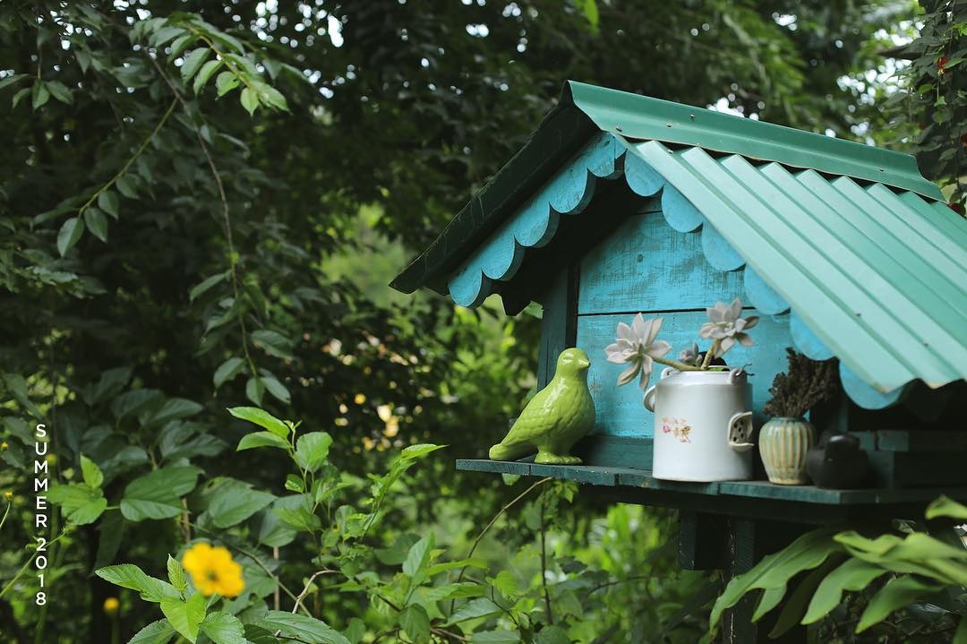 Nhung homestay co view om tron nui rung o Da Lat hinh anh