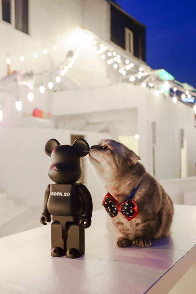 quan moi o TP.HCM anh 11