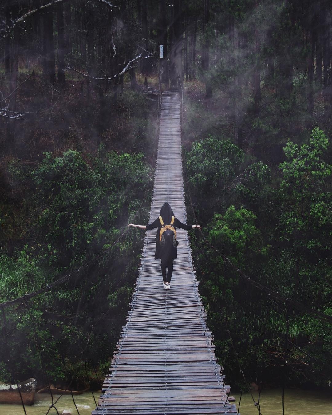 cầu dây Đà Lạt ảnh 7 cau day Da Lat anh 7