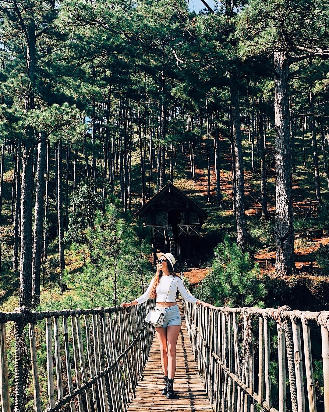 cầu dây Đà Lạt ảnh 1 cau day Da Lat anh 1