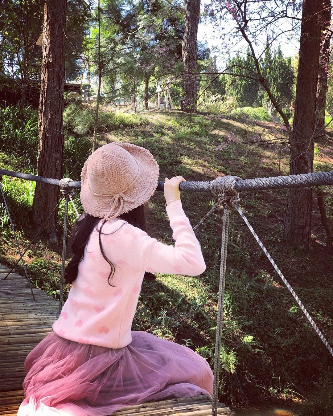 cầu dây Đà Lạt ảnh 10 cau day Da Lat anh 10