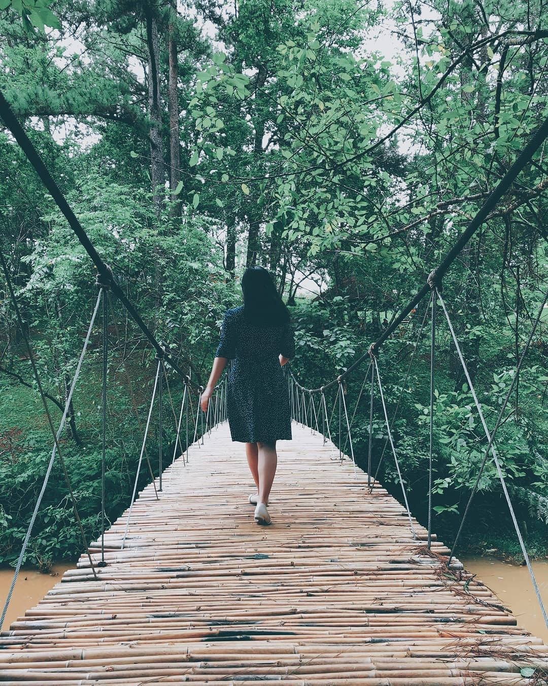 cầu dây Đà Lạt ảnh 12 cau day Da Lat anh 12