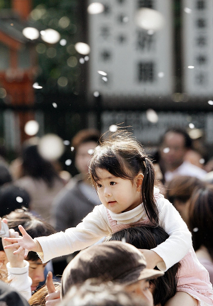 Hoa anh dao Nhat Ban anh 16