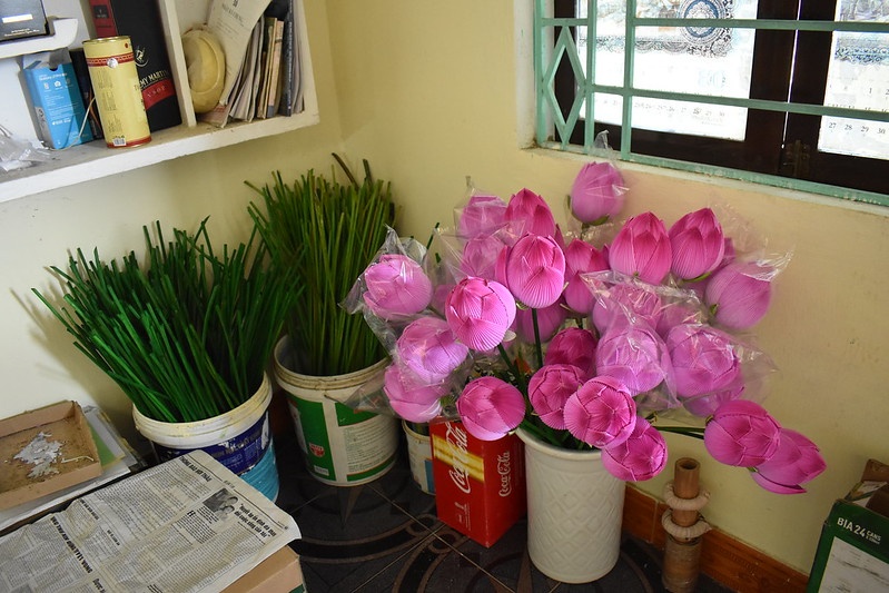 hoa giay Thanh Tien anh 6