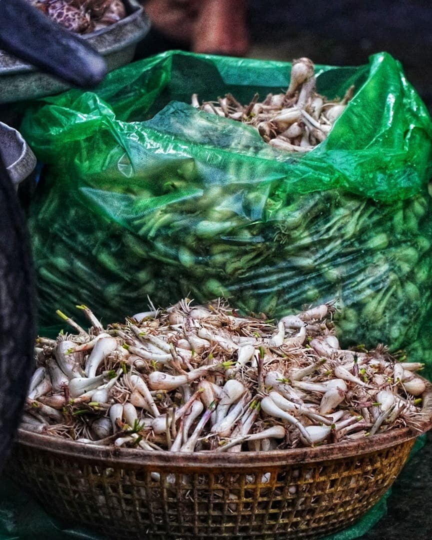 món ăn tết cổ truyền việt nam ảnh 12 mon an tet co truyen viet nam anh 12