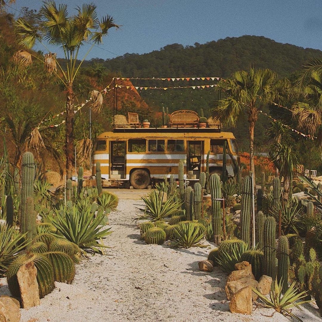 Kombi Land giua Da Lat anh 1