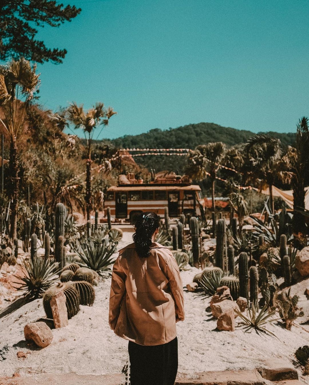 Kombi Land giua Da Lat anh 7