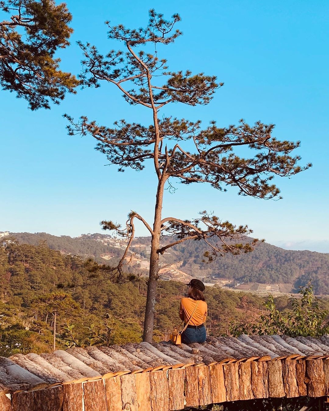 quán cà phê view đẹp Đà Lạt ảnh 1 quan ca phe view dep Da Lat anh 1