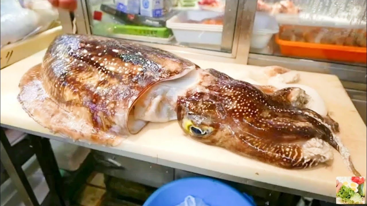 Dau bep Nhat lam goi tu muc nang tuoi co lon hinh anh