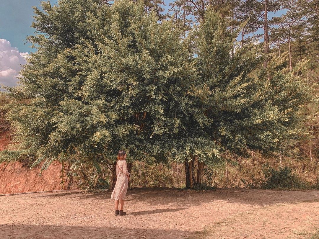 tips song ao Da Lat anh 2