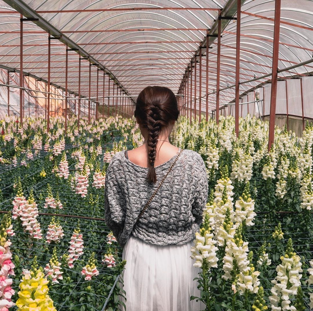 tips song ao Da Lat anh 4