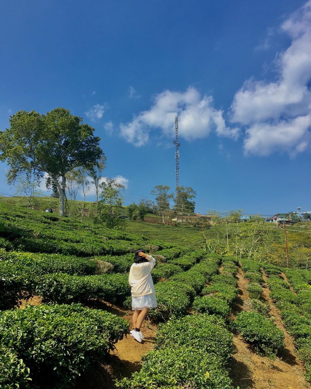 hẹn hò Đà Lạt ảnh 13 hen ho Da Lat anh 13
