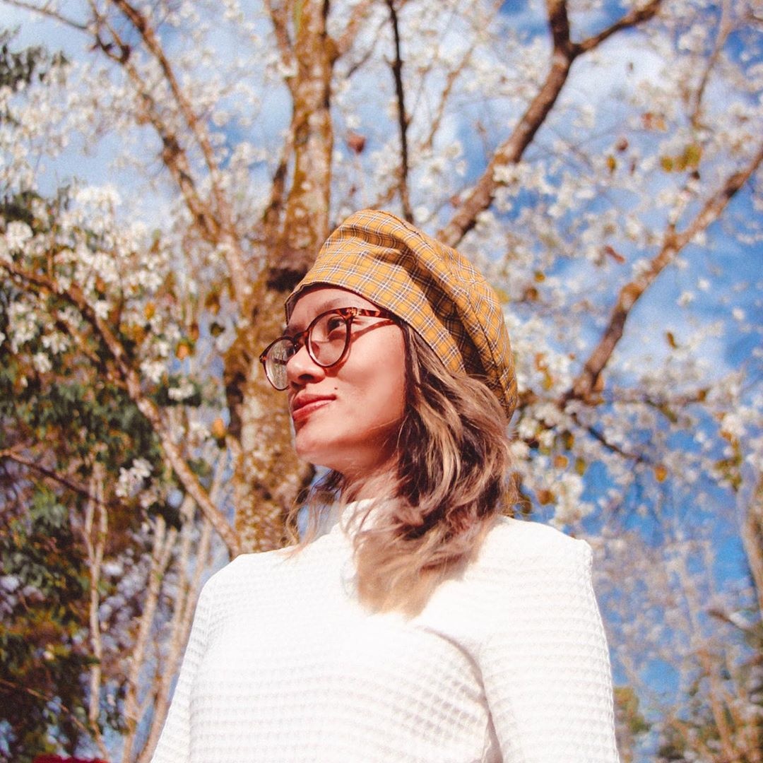 hoa ban đà lạt ảnh 6 hoa ban da lat anh 6