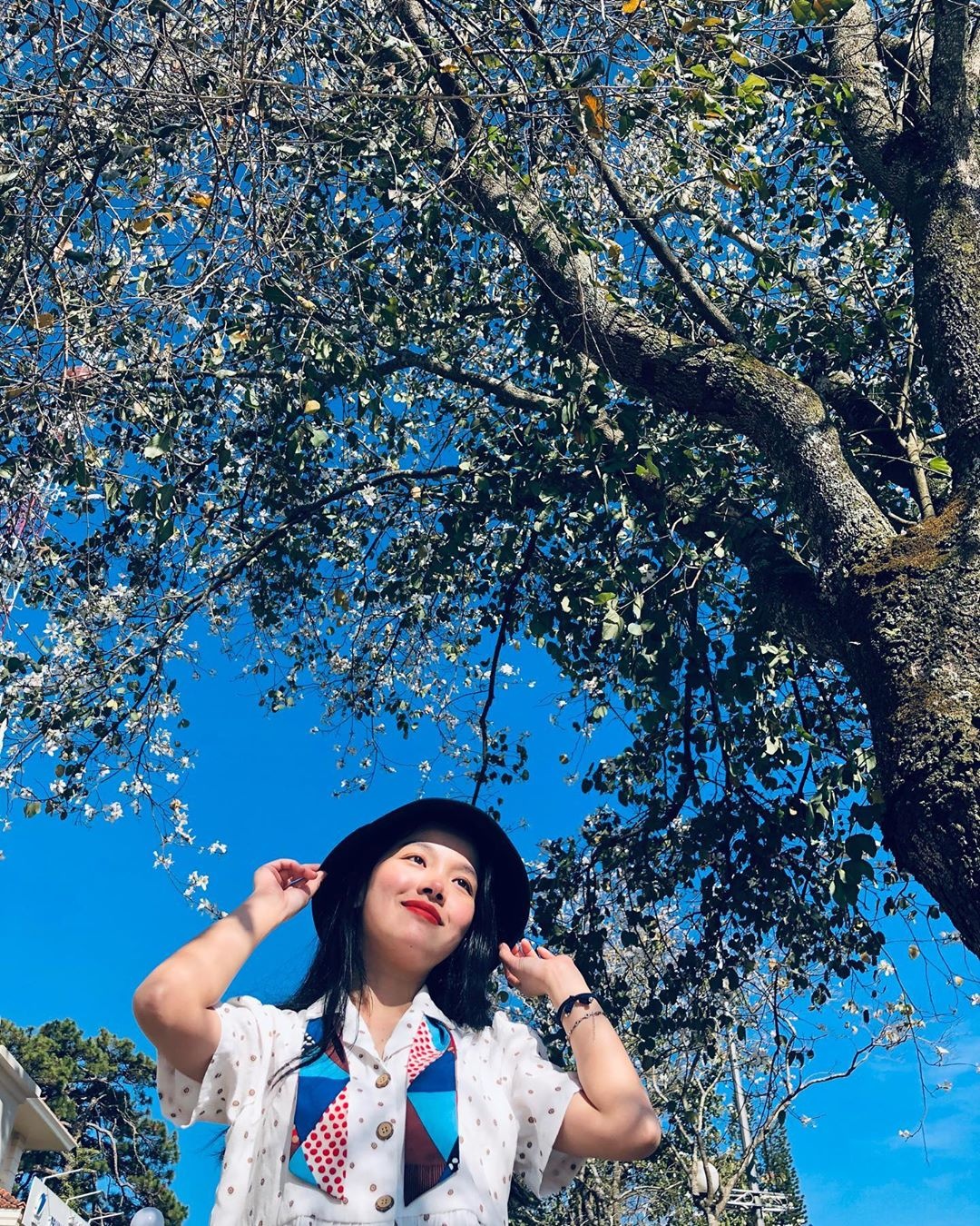 hoa ban đà lạt ảnh 13 hoa ban da lat anh 13