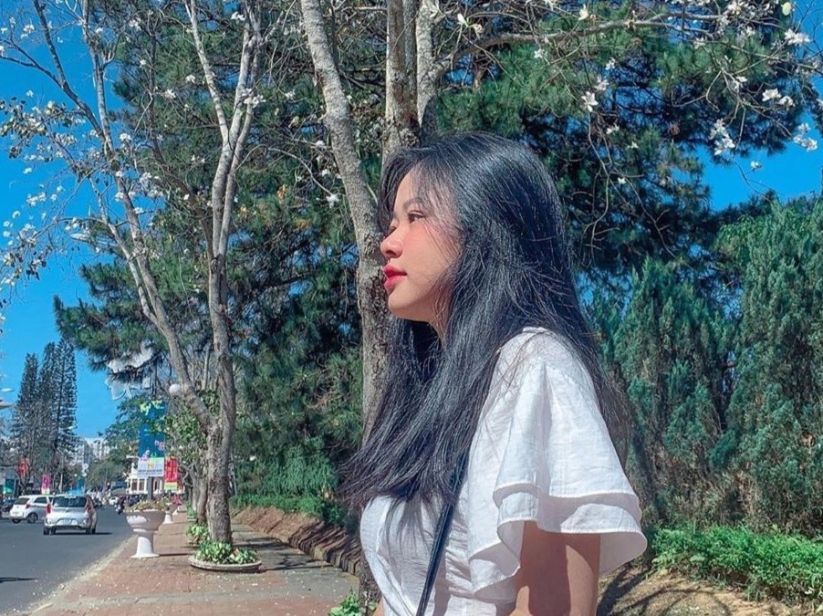 Hoa ban khoe sac trang khap cac con duong Da Lat hinh anh