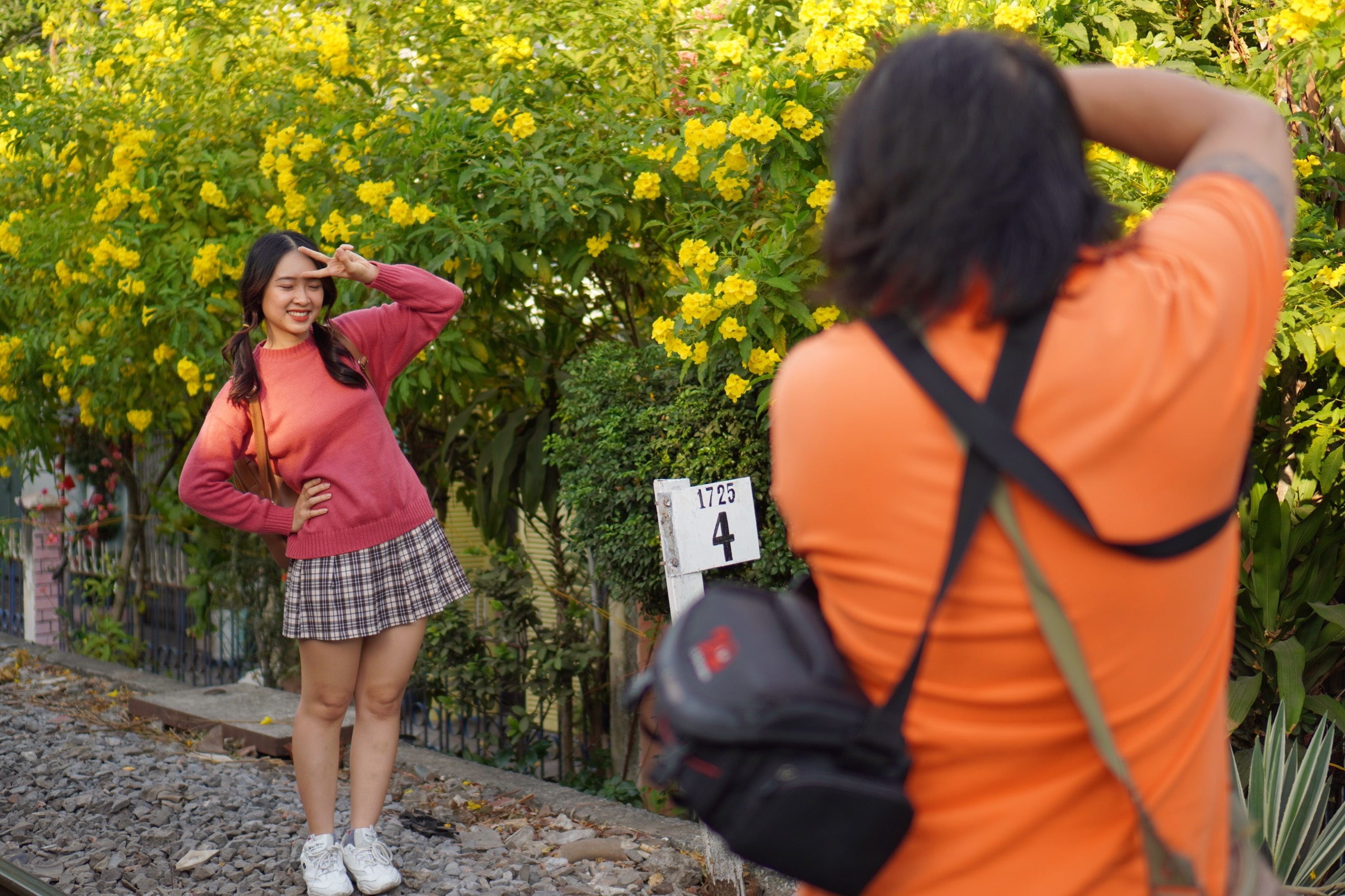 mùa hoa huỳnh liên TP.HCM ảnh 4 mua hoa huynh lien TP.HCM anh 4