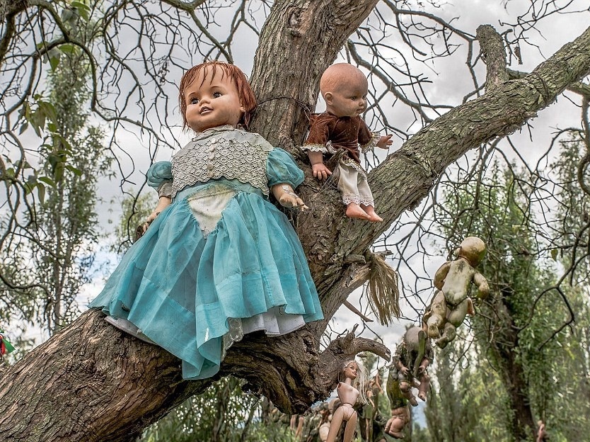 Cau chuyen dang sau dao bup be ma am hinh anh