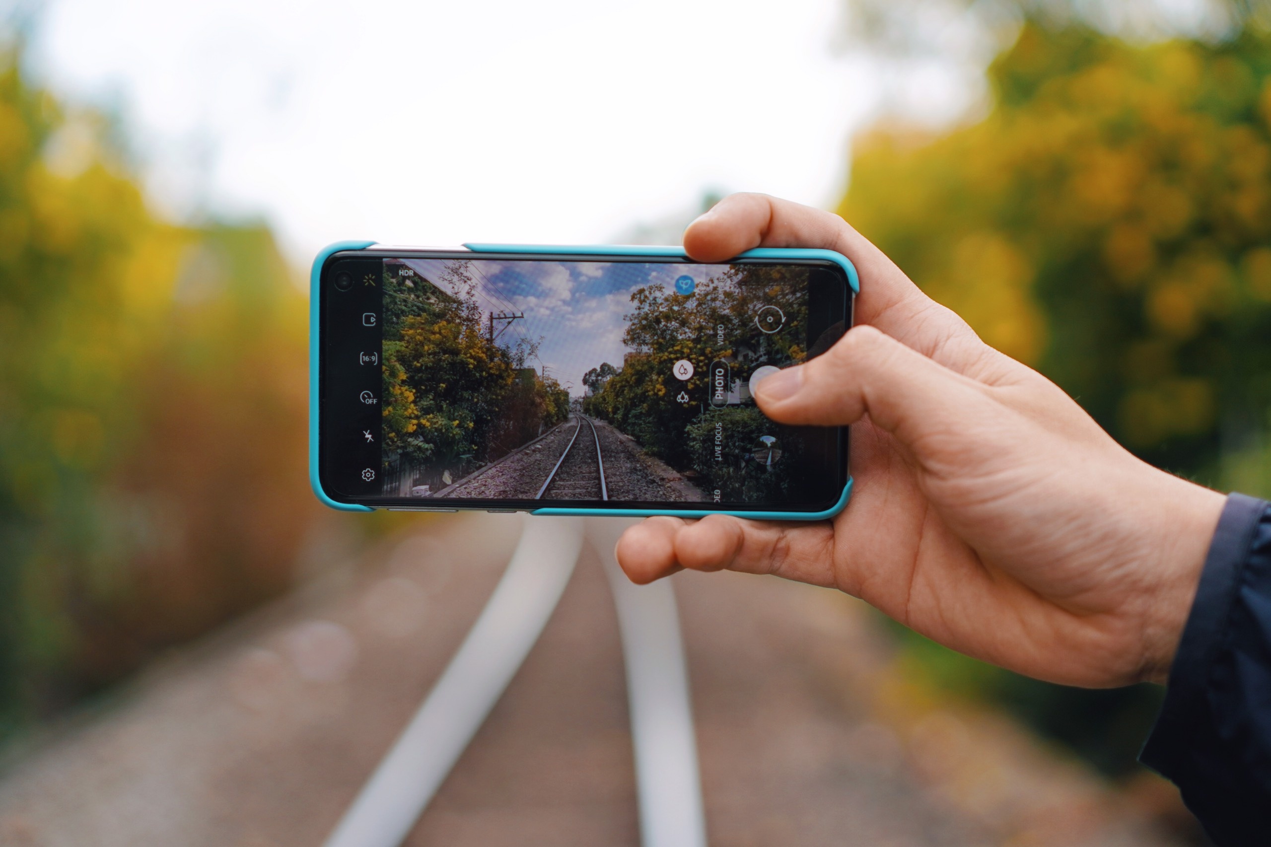 mùa hoa huỳnh liên TP.HCM ảnh 5 mua hoa huynh lien TP.HCM anh 5