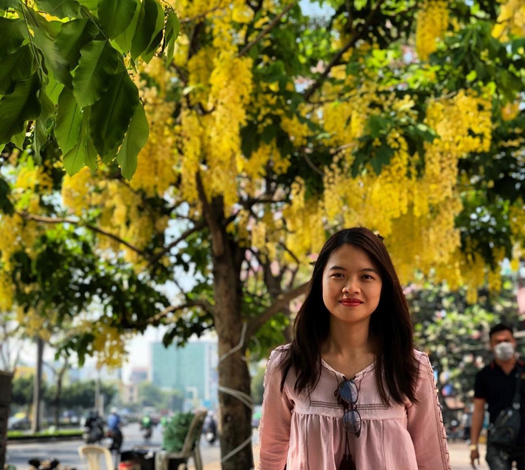 các mùa hoa ở TP.HCM ảnh 8 cac mua hoa o TP.HCM anh 8