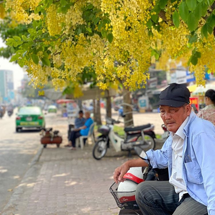 các mùa hoa ở TP.HCM ảnh 9 cac mua hoa o TP.HCM anh 9