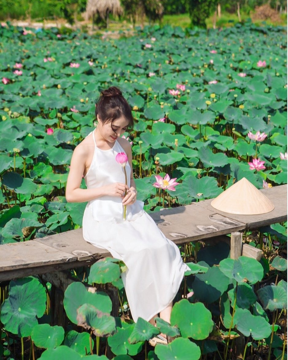 các mùa hoa ở TP.HCM ảnh 13 cac mua hoa o TP.HCM anh 13