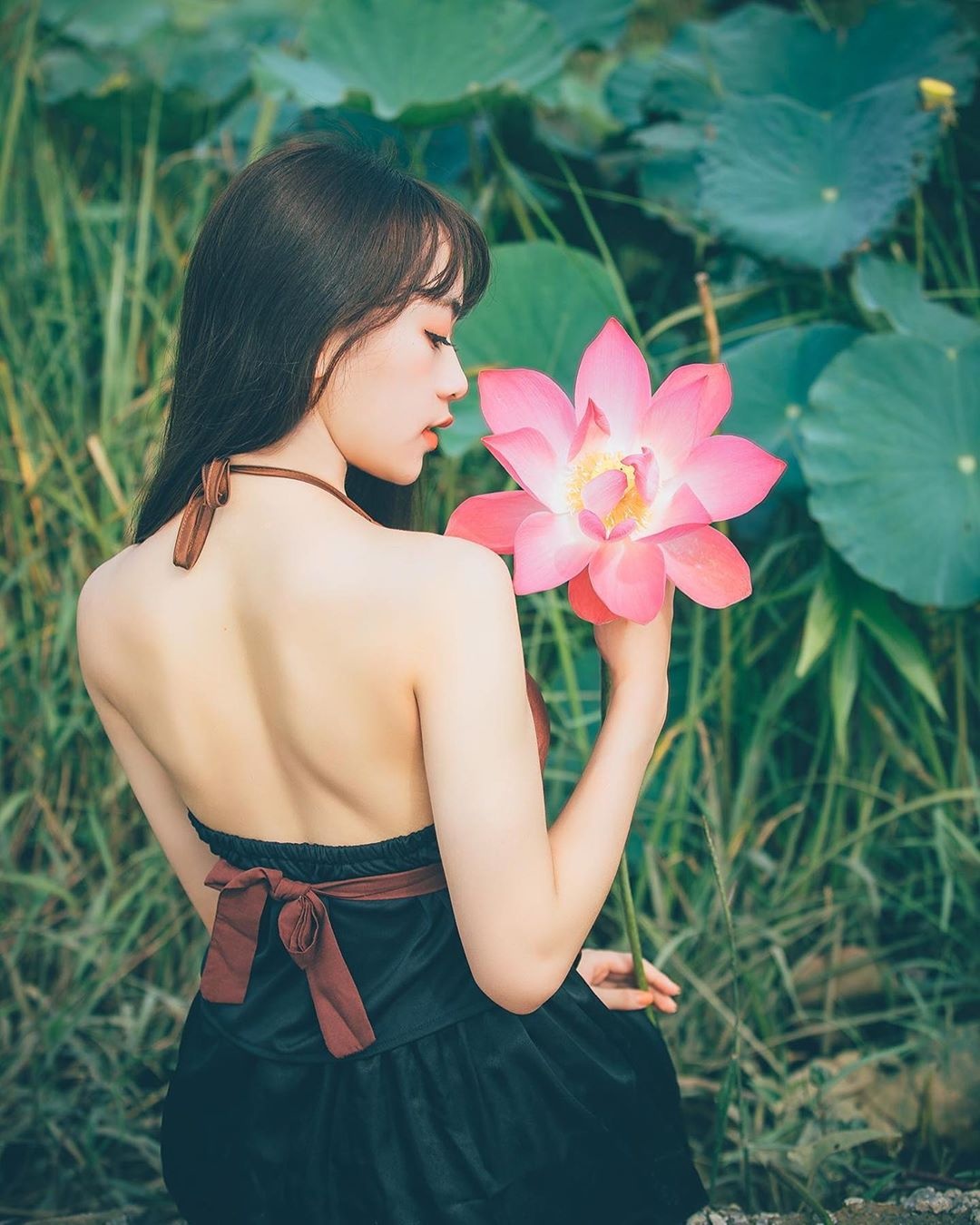 các mùa hoa ở TP.HCM ảnh 12 cac mua hoa o TP.HCM anh 12