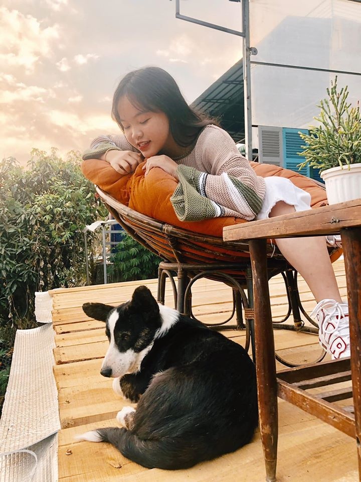 cafe săn mây ảnh 11 cafe san may anh 11