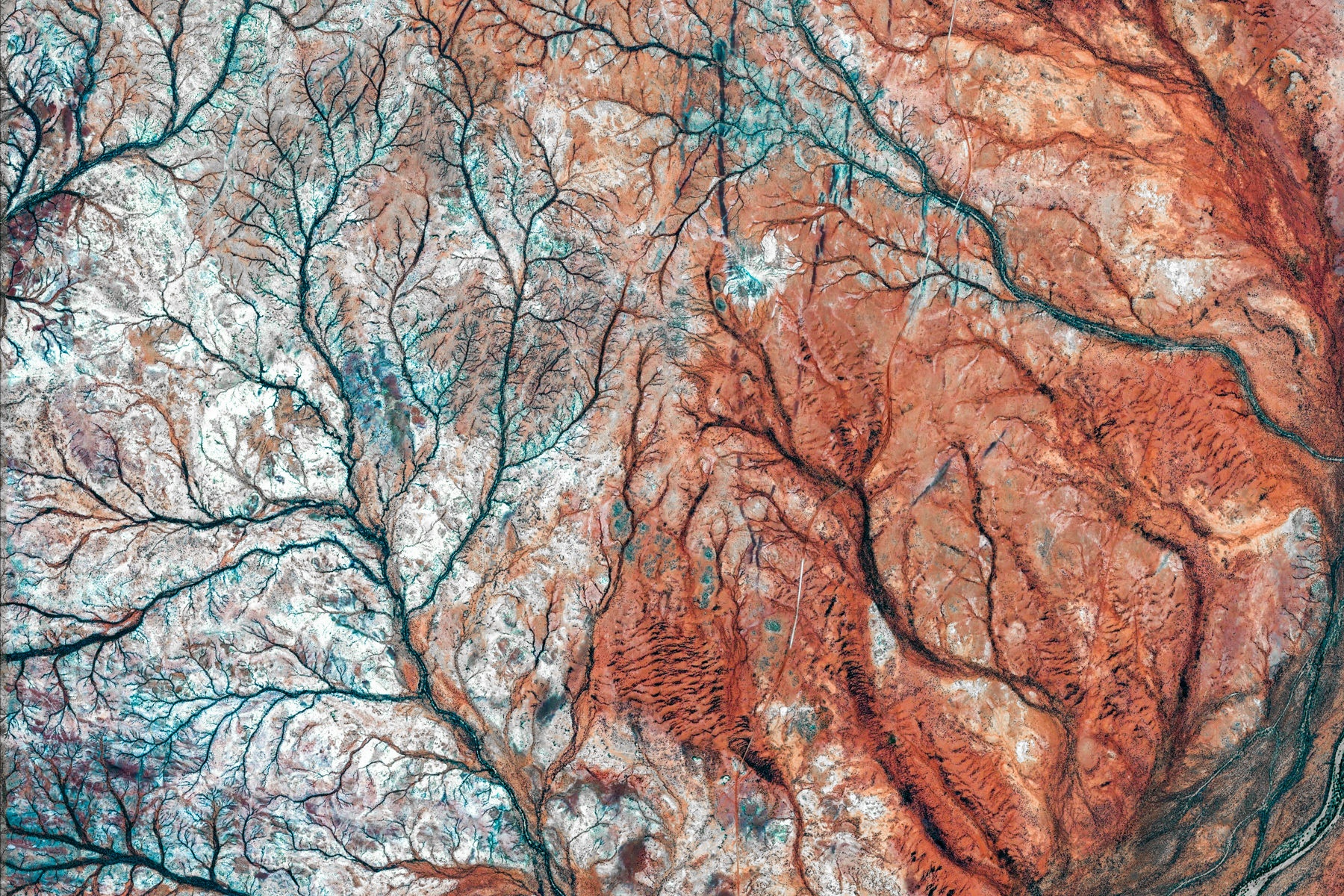 google earth view ảnh 5 google earth view anh 5